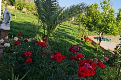 Villa for sale  in Antalya, Turkey, 7 bedrooms, 350m2, No. 222867 – photo 3