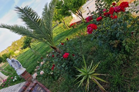 Villa for sale  in Antalya, Turkey, 7 bedrooms, 350m2, No. 222867 – photo 5