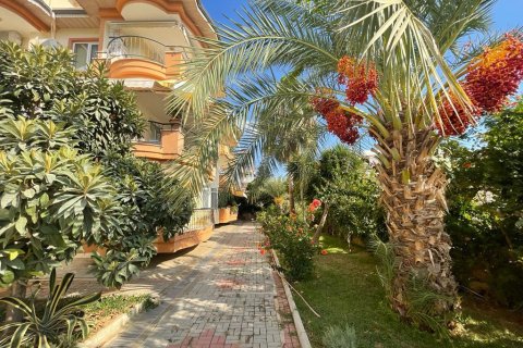 2+1 Wohnung in Kestel, Schleimbeutel, Türkei Nr. 217567 - 12