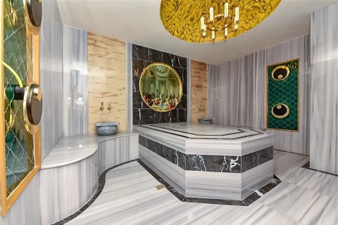 4+1 Villa  i Alanya, Antalya, Turkiet Nr. 217568 - 13