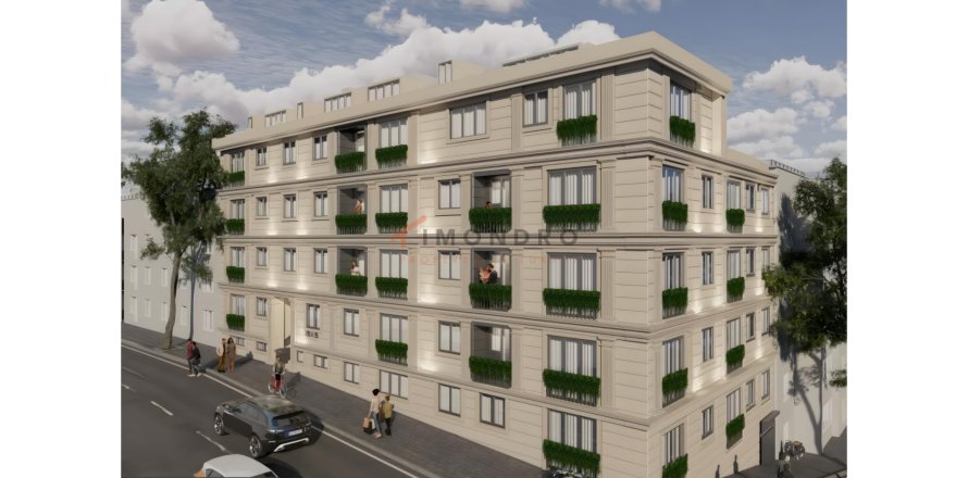 5+1 Wohnung  in Beyoglu, Istanbul, Türkei Nr. 221182