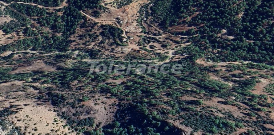 Land plot  in Antalya, Turkey No. 221186