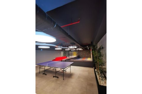 2+1 Lägenhet  i Basaksehir, Istanbul, istanbul, Turkiet Nr. 223324 - 30