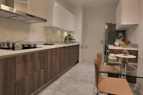 2+1 Lägenhet  i Basaksehir, Istanbul, istanbul, Turkiet Nr. 223324 - 14