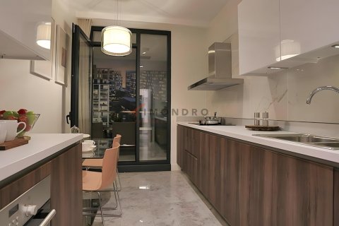 2+1 Lägenhet  i Basaksehir, Istanbul, istanbul, Turkiet Nr. 223324 - 13