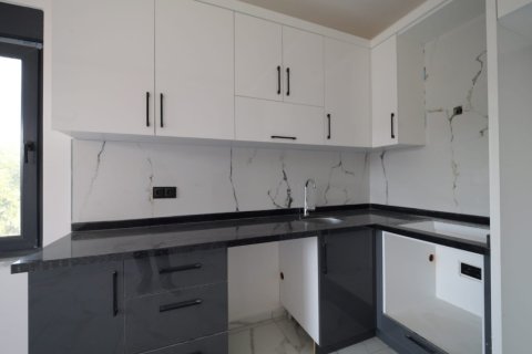 Аренда квартиры  в Аланье, Анталье, Турция 1+1, 47м2, №216529 – фото 2