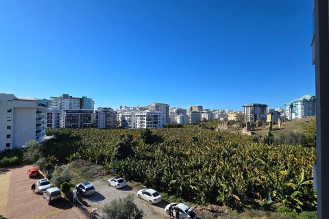 Аренда квартиры в Аланье, Анталье, Турция 1+1, 60м2, №216525 – фото 12