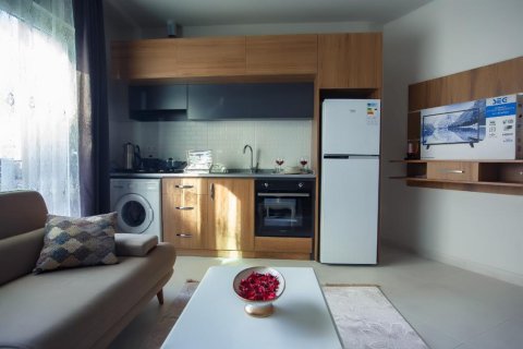 Аренда квартиры в Аланье, Анталье, Турция 1+1, 60м2, №216525 – фото 20