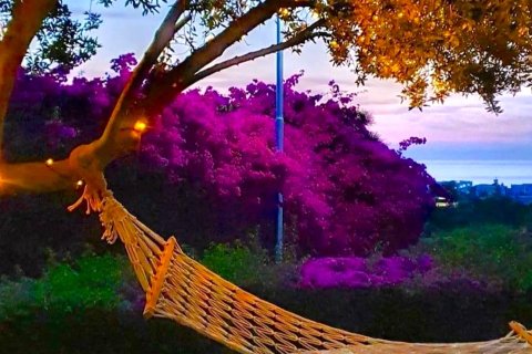 2+1 Lejlighed  i Tatlisu, Famagusta,  Nr. 214646 - 10