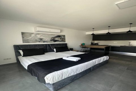 Lejlighed  i Long Beach, Iskele,  Nr. 214649 - 3