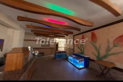 Kommersiella fastigheter i Kemer, Antalya, Turkiet Nr. 216072 - 4