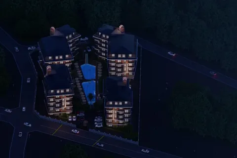 1+1 Wohnung  in Alanya, Antalya, Türkei Nr. 223596 - 21