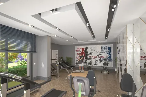 1+1 Wohnung  in Alanya, Antalya, Türkei Nr. 223596 - 28