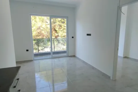 Продажа квартиры  в Аланье, Анталье, Турция 1+1, 44м2, №223729 – фото 3