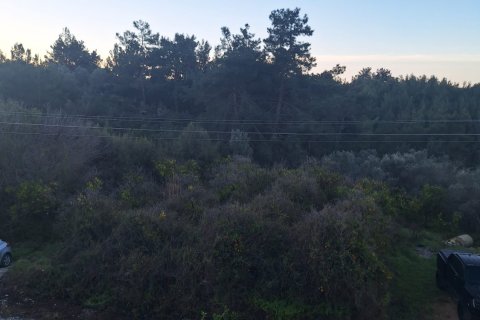 Daire 2+1 Oba, Antalya, Türkiye №220055 - 8