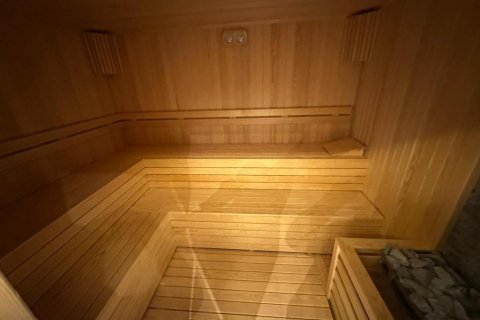 Lägenhet  i Kestel, Antalya, Turkiet Nr. 220060 - 16