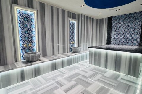 1+1 Lägenhet  i Alanya, Antalya, Turkiet Nr. 224800 - 15