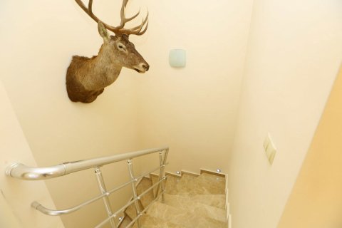 4+1 Lejlighed  i Oba, Antalya, Tyrkiet Nr. 217377 - 17