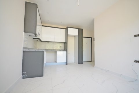1+1 Wohnung  in Alanya, Antalya, Türkei Nr. 216710 - 12