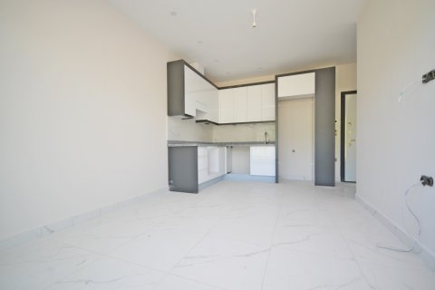 1+1 Wohnung  in Alanya, Antalya, Türkei Nr. 216710 - 20