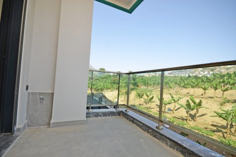 1+1 Wohnung  in Alanya, Antalya, Türkei Nr. 216710 - 24