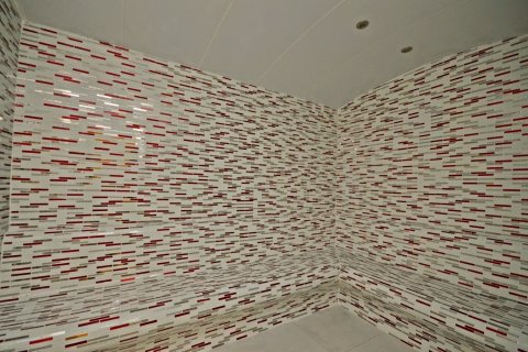 Daire  1+1  Alanya, Antalya, Türkiye №216709 - 4