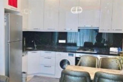 1+0 Lägenhet  i Alanya, Antalya, Turkiet Nr. 223178 - 4