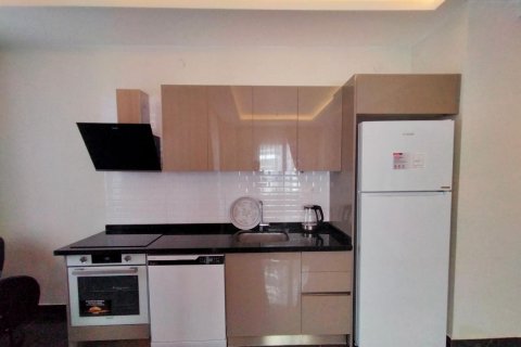 آپارتمان در  Alanya ، ترکیه 1 خوابه ، 45 متر مربع.  شماره 223177 - 3