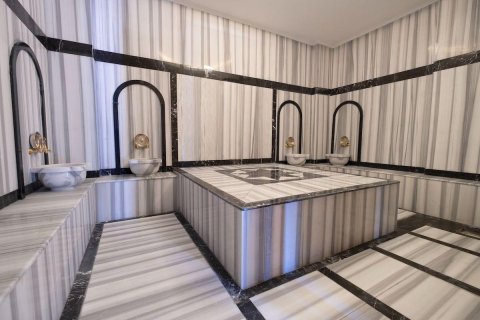 1+1 Wohnung  in Alanya, Antalya, Türkei Nr. 216398 - 14