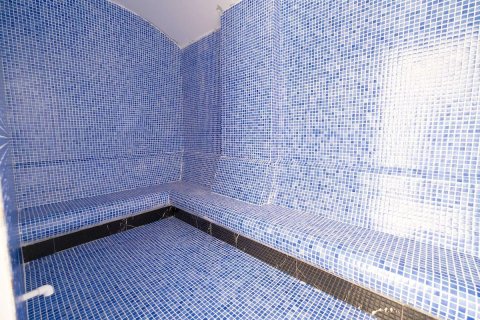 1+1 Wohnung  in Alanya, Antalya, Türkei Nr. 216398 - 15