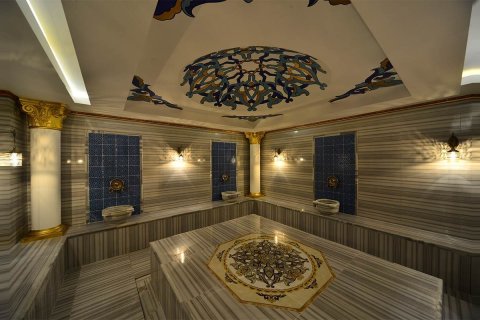 1+1 Lejlighed  i Mahmutlar, Antalya, Tyrkiet Nr. 219280 - 20