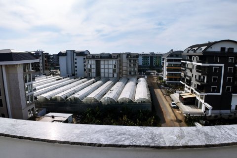 2+1 Lejlighed  i Alanya, Antalya, Tyrkiet Nr. 219283 - 8