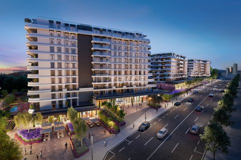 2+1 Wohnung  in Istanbul, Türkei Nr. 223364 - 6