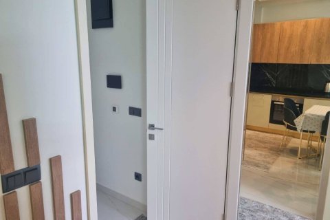 1+0 Wohnung in Alanya, Antalya, Türkei Nr. 225089 - 11