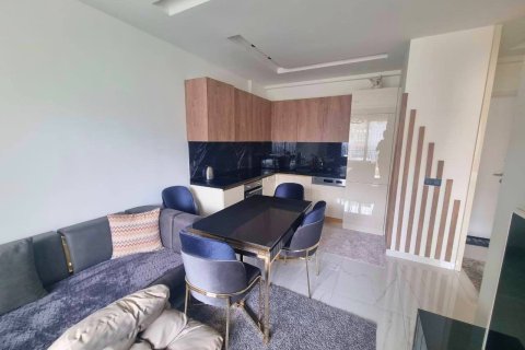 1+0 Wohnung in Alanya, Antalya, Türkei Nr. 225089 - 2