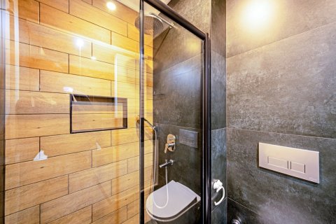 1+0 Wohnung  in Alanya, Antalya, Türkei Nr. 225092 - 7