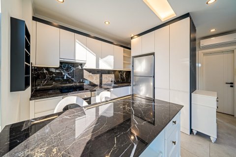 1+0 Wohnung  in Alanya, Antalya, Türkei Nr. 225092 - 3