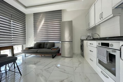 آپارتمان در Kargicak، Alanya ، ترکیه 1 خوابه ، 45 متر مربع. شماره 225093 - 3