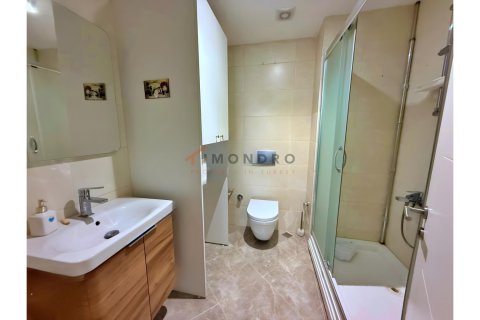 آپارتمان در Eyup،  Istanbul ، ترکیه 1 خوابه ، 95 متر مربع.  شماره 216138 - 11