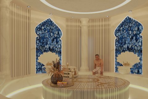 1+1 Wohnung  in Kestel, Antalya, Türkei Nr. 218279 - 11