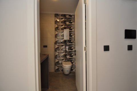 1+1 Wohnung  in Alanya, Antalya, Türkei Nr. 211478 - 14