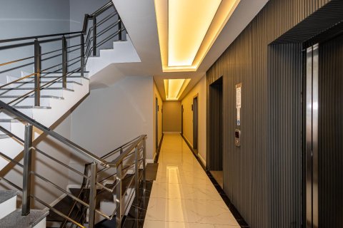 1+1 Wohnung  in Alanya, Antalya, Türkei Nr. 216892 - 20