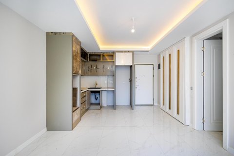1+1 Wohnung  in Alanya, Antalya, Türkei Nr. 216892 - 11