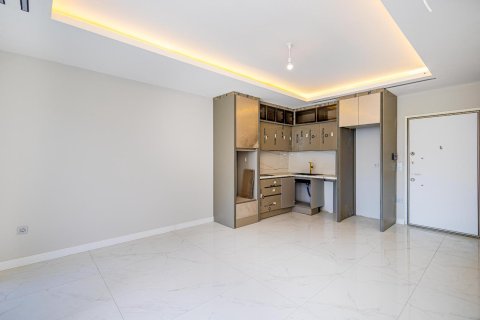 1+1 Wohnung  in Alanya, Antalya, Türkei Nr. 216892 - 12