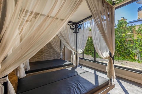 1+1 Wohnung  in Alanya, Antalya, Türkei Nr. 216892 - 24