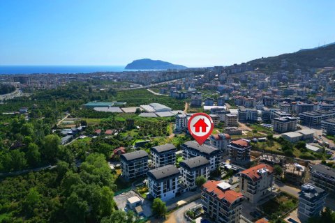 1+1 Wohnung  in Alanya, Antalya, Türkei Nr. 216892