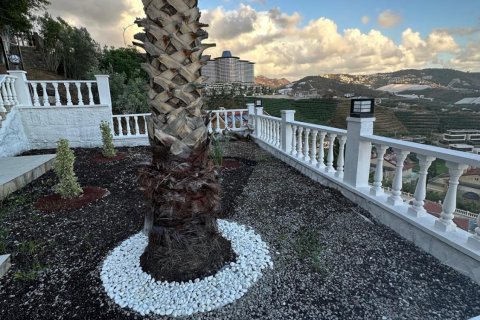 3+1 Lejlighed  i Alanya, Antalya, Tyrkiet Nr. 216894 - 12