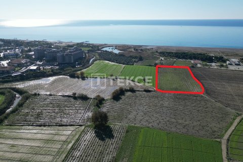 Tomt  i Manavgat, Antalya, Tyrkia Nr. 215861 - 6