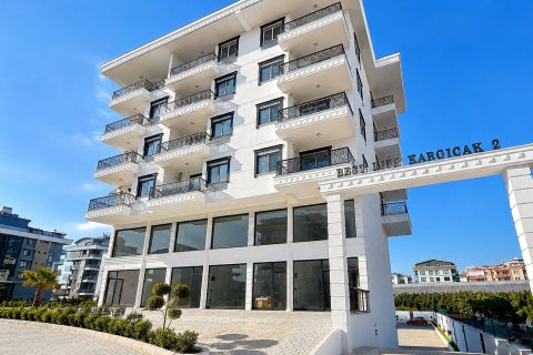 آپارتمان در Kargicak،  Alanya ، ترکیه 50 متر مربع.  شماره 226823 - 10