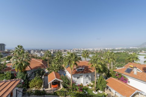 ویلا در Alanya ، ترکیه 4 خوابه ، 345 متر مربع. شماره 217619 - 3